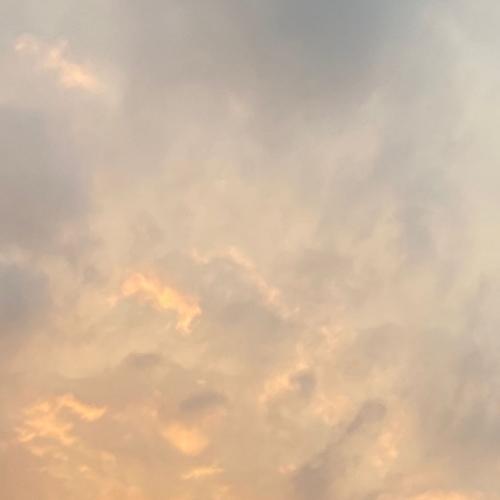 สมาชิกหมายเลข 5195804