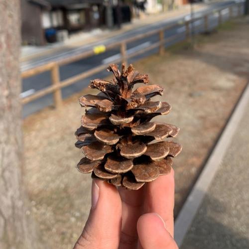 สมาชิกหมายเลข 4746579