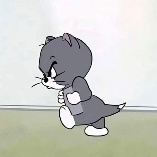 สมาชิกหมายเลข 8773583