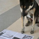 สมาชิกหมายเลข 1478632