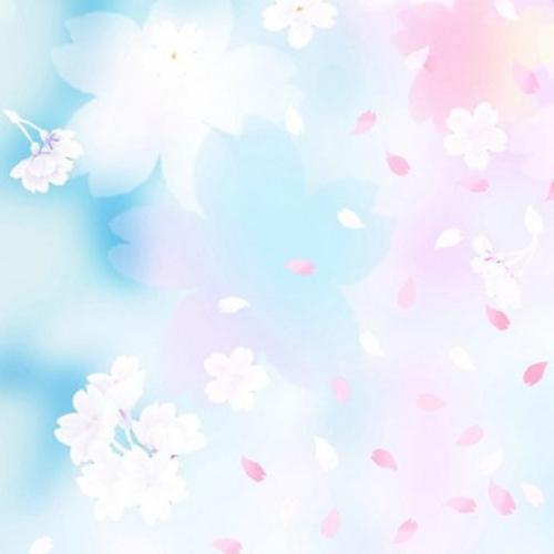 สมาชิกหมายเลข 4904871