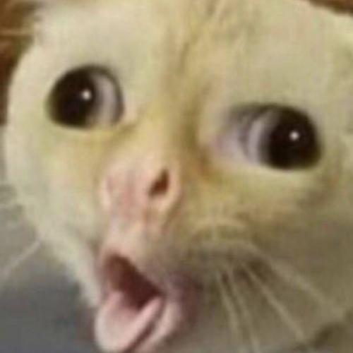 สมาชิกหมายเลข 3208240