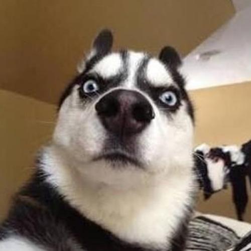 สมาชิกหมายเลข 5302545