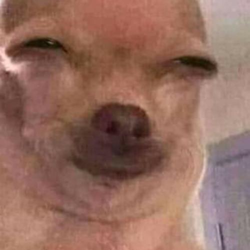 สมาชิกหมายเลข 2143939