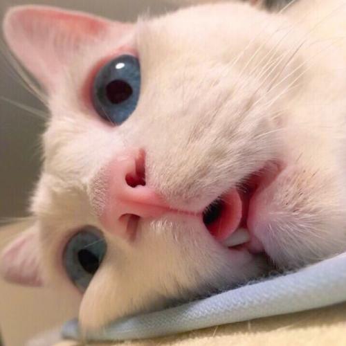 สมาชิกหมายเลข 4307692