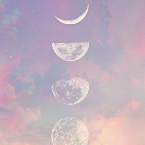 สมาชิกหมายเลข 4743367