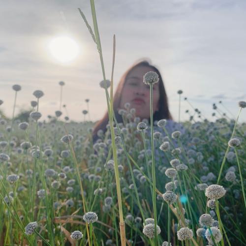 สมาชิกหมายเลข 5201773