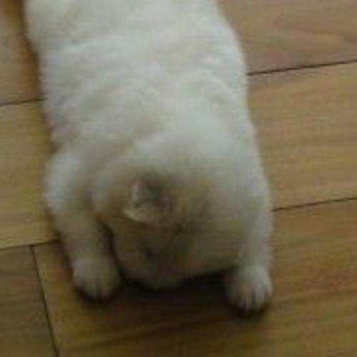 สมาชิกหมายเลข 5758478