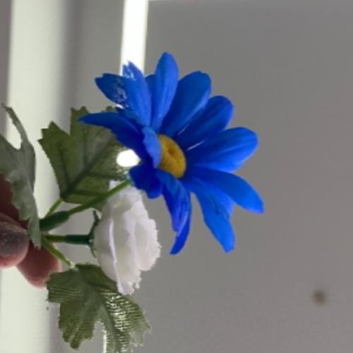 สมาชิกหมายเลข 5475716