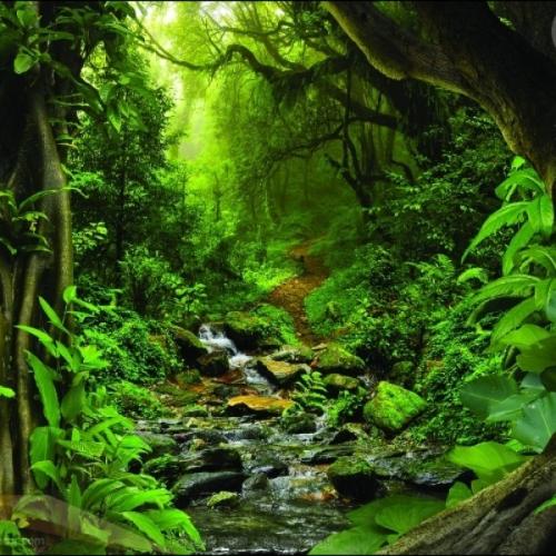 สมาชิกหมายเลข 6350907