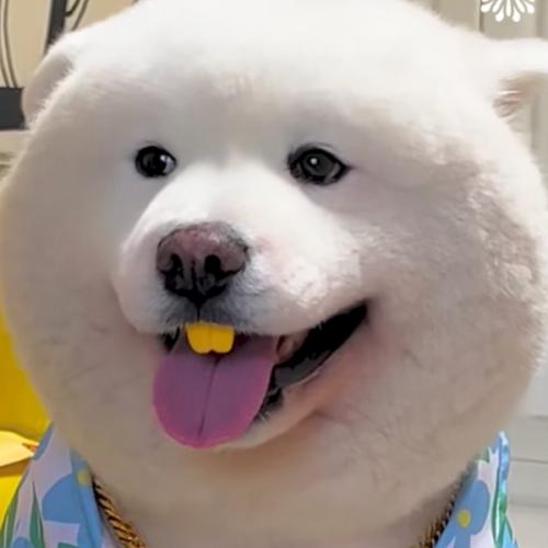 สมาชิกหมายเลข 6720677