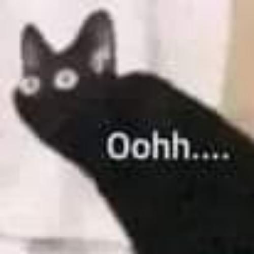 สมาชิกหมายเลข 7026501