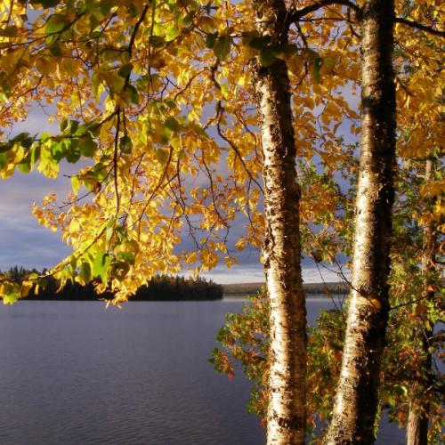 สมาชิกหมายเลข 7803715