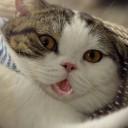 สมาชิกหมายเลข 1660762