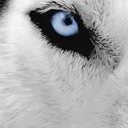 สมาชิกหมายเลข 3557543