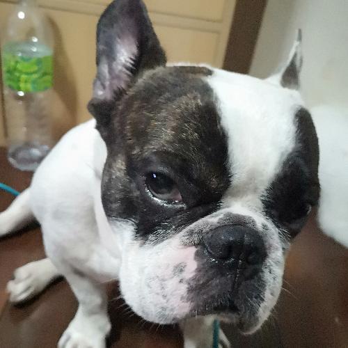 สมาชิกหมายเลข 2727726