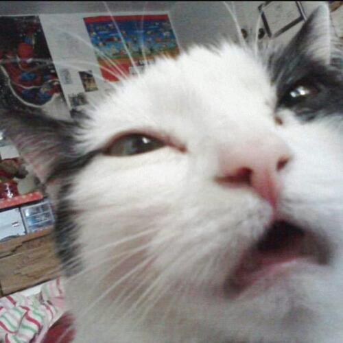 สมาชิกหมายเลข 4905119