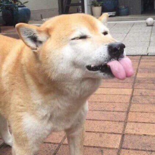 สมาชิกหมายเลข 4905158