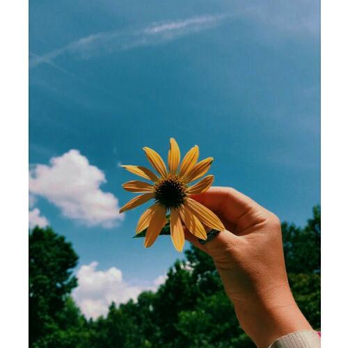 สมาชิกหมายเลข 4905267