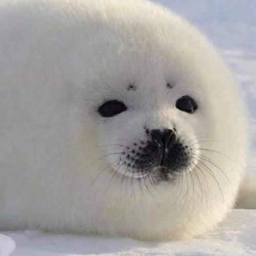 สมาชิกหมายเลข 5725048