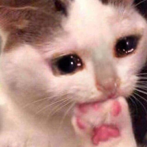 สมาชิกหมายเลข 7035725