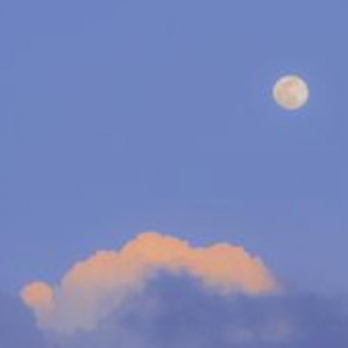 สมาชิกหมายเลข 7035756