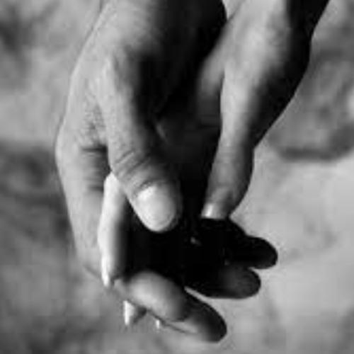 สมาชิกหมายเลข 4001263