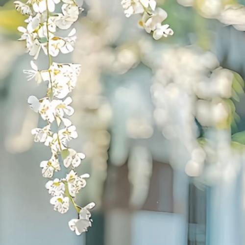 สมาชิกหมายเลข 8774772