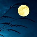 สมาชิกหมายเลข 3684964