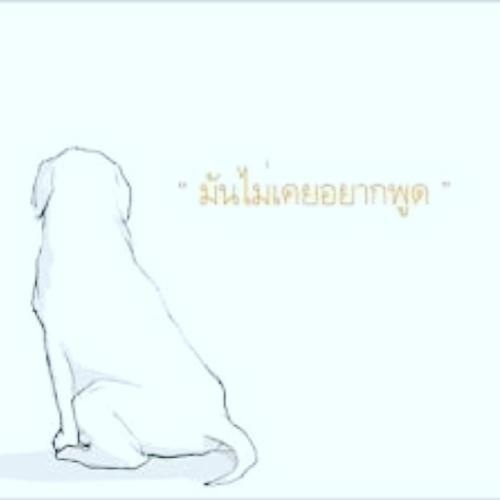 สมาชิกหมายเลข 4564014