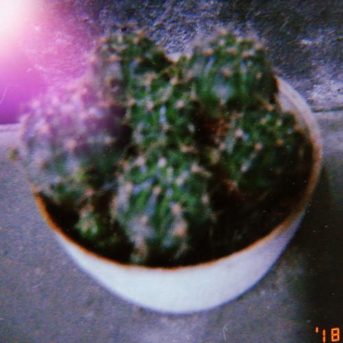 สมาชิกหมายเลข 4253976