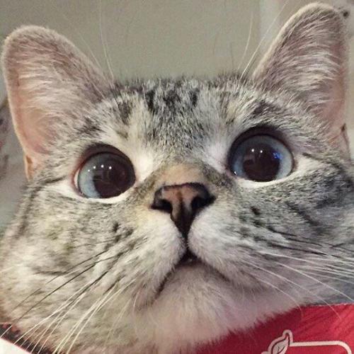 สมาชิกหมายเลข 3637418