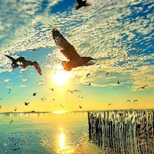 พิรุณสวัสดิ์