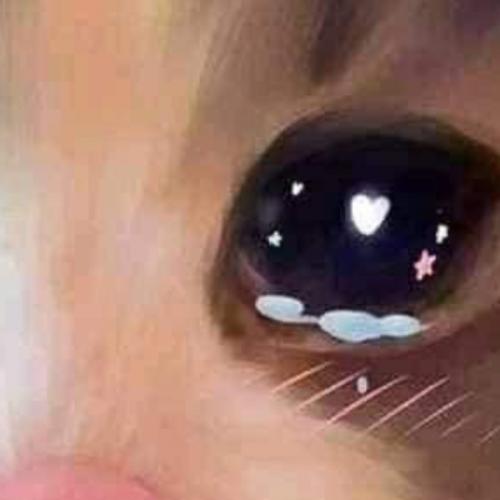 สมาชิกหมายเลข 4668198