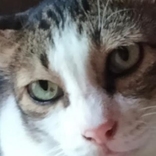 สมาชิกหมายเลข 8773661