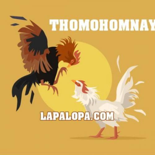 สมาชิกหมายเลข 8776671