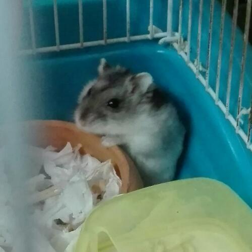 สมาชิกหมายเลข 2205792