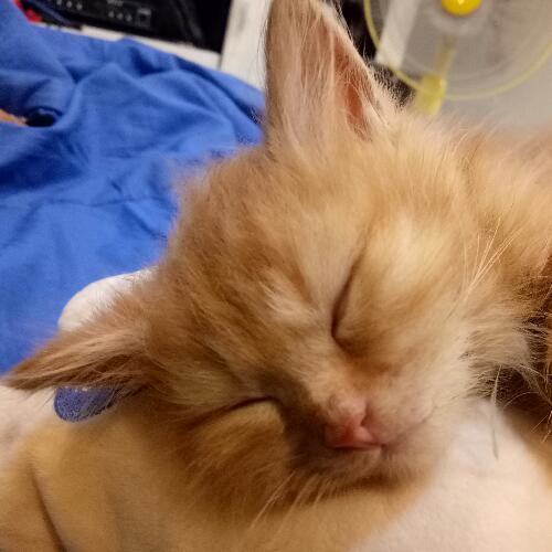 สมาชิกหมายเลข 4564691