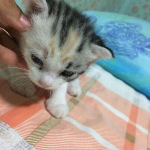 สมาชิกหมายเลข 4564783