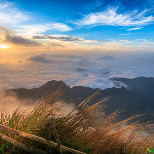 สมาชิกหมายเลข 2041026