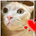 สมาชิกหมายเลข 1066612