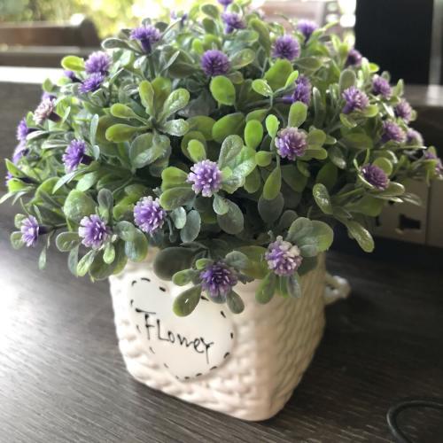 สมาชิกหมายเลข 1927868