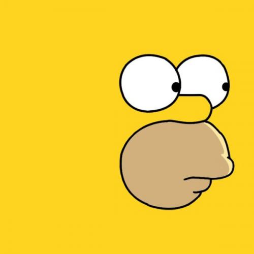 SaNOokSLur