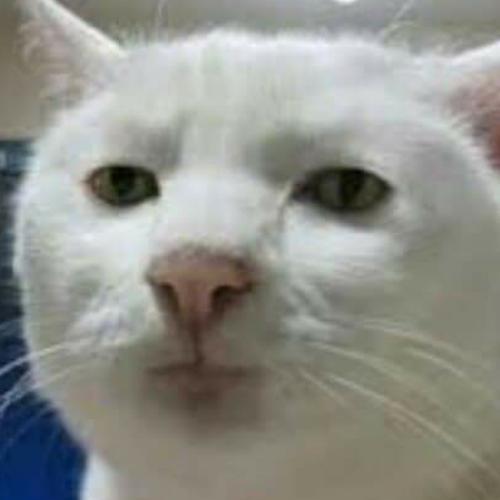 สมาชิกหมายเลข 5287034