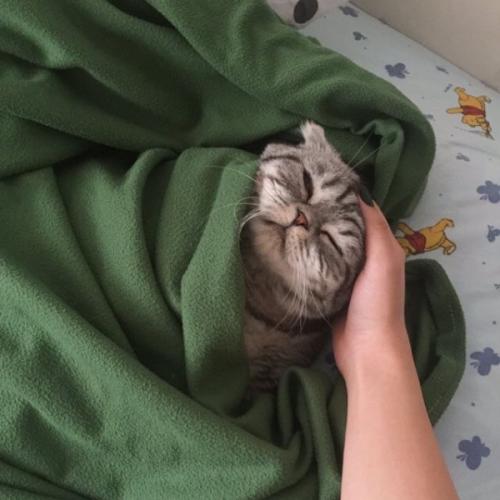 สมาชิกหมายเลข 5303472