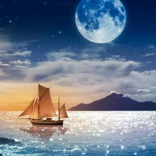 สมาชิกหมายเลข 5303612