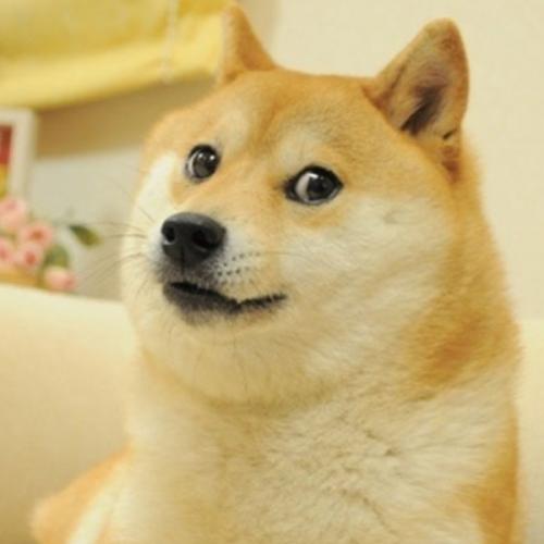 สมาชิกหมายเลข 2004782