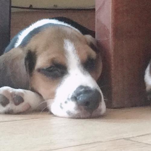 สมาชิกหมายเลข 6352863