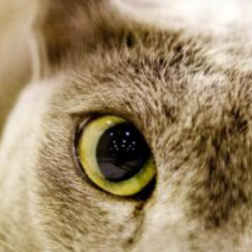 สมาชิกหมายเลข 6353070