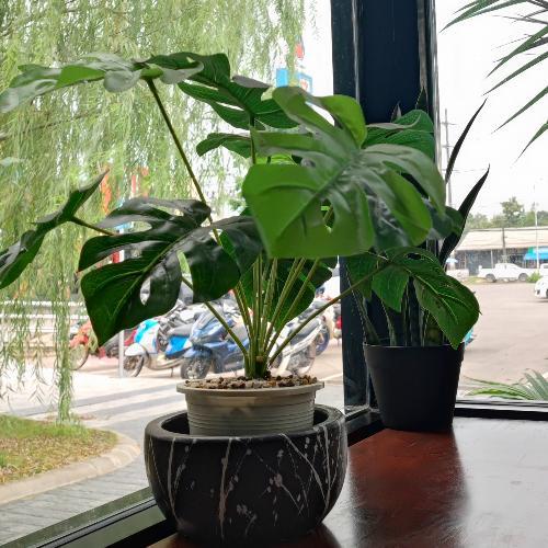 สมาชิกหมายเลข 5225931